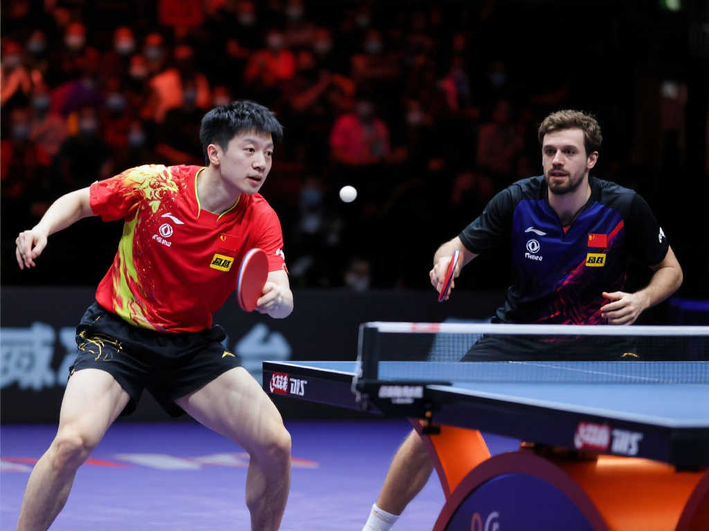 西部联盟 西部联盟